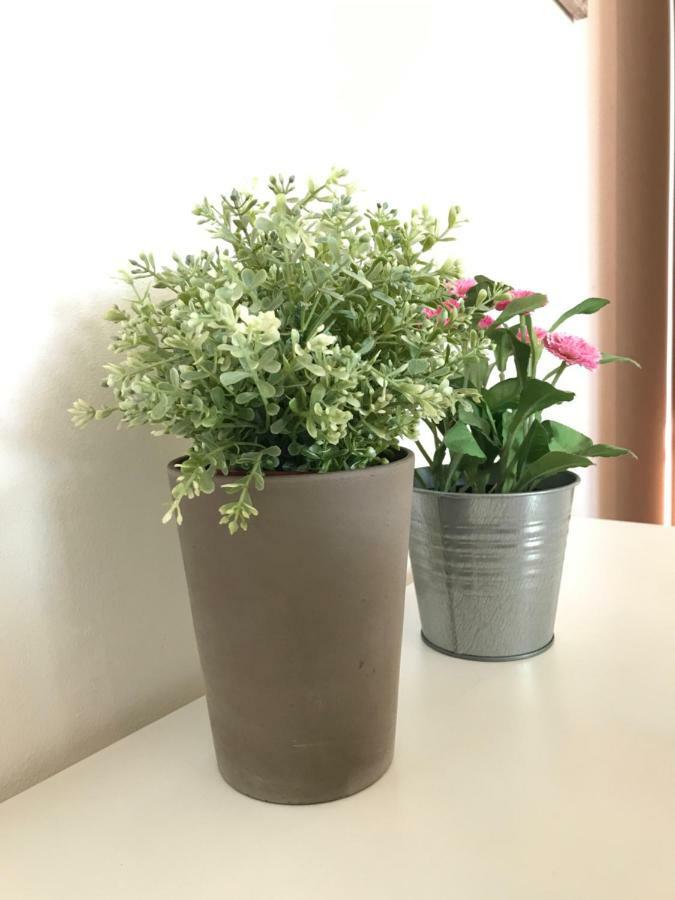 Apartament Casa Giulia Salionze Zewnętrze zdjęcie